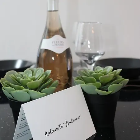 Banlieue 29 - 2 Bedroom Flat In Apartman *